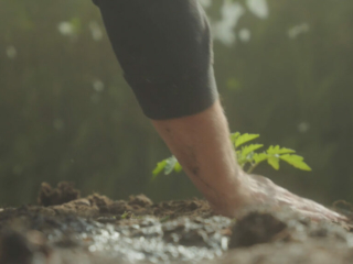 Sustainability at Solas Tapas