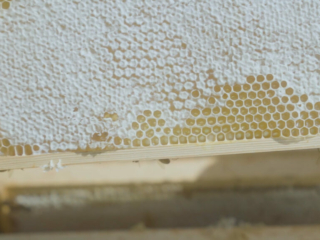 Sustainability at Solas Tapas