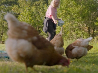 Sustainability at Solas Tapas