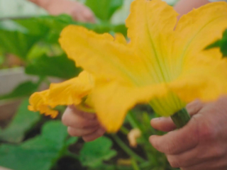 Sustainability at Solas Tapas